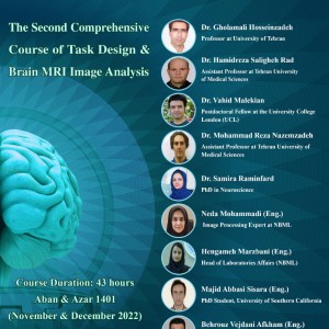 Comprehensive Course of Task Design & Brain MRI Image Analysis